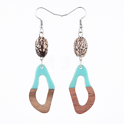Resin & Wood Dangle Earrings EJEW-JE03469-03-1