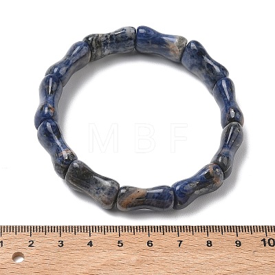 Bamboo Natural Sodalite Beads Stretch Bracelets for Women Men BJEW-K304-01E-1