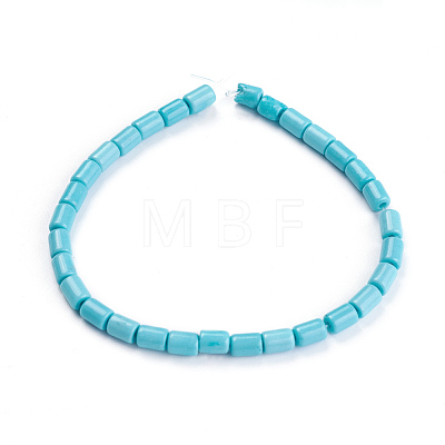 Synthetic Howlite Beads Strands G-F647-12A-1
