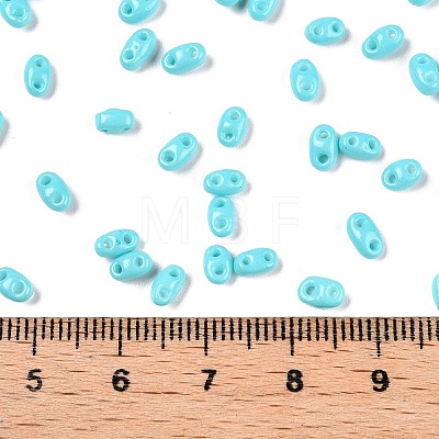 Baking Paint Glass Seed Beads SEED-T006-03H-1