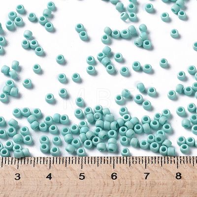 TOHO Round Seed Beads X-SEED-TR08-0413F-1