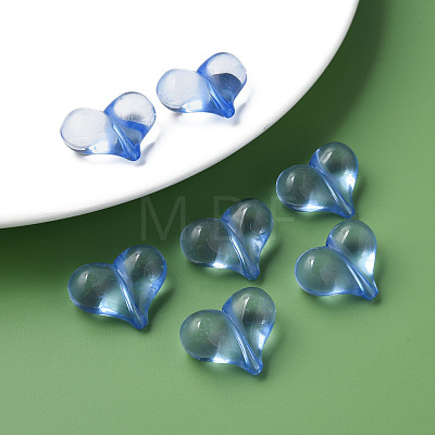 Transparent Acrylic Beads MACR-S373-70-B10-1