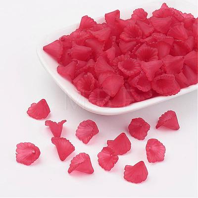 Transparent Acrylic Beads PL622-C14-1