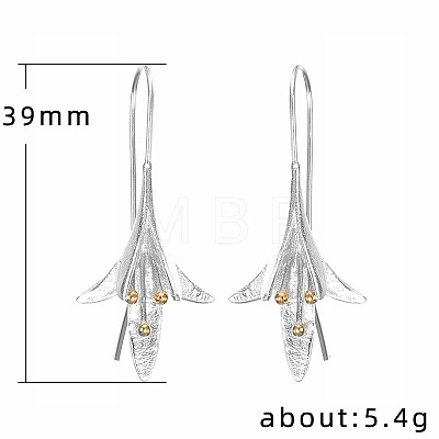 Valentine's Day Alloy Dangle Earrings WGA07D2-01-1