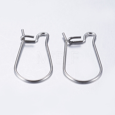 304 Stainless Steel Hoop Earrings STAS-L198-15B-P-1