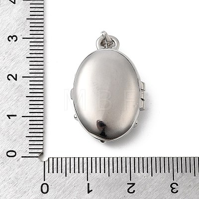 Brass Micro Pave Clear Cubic Zirconia Locket Pendants X-KK-L262-07P-1