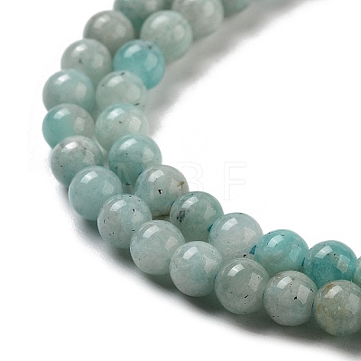 Natural Amazonite Beads Strands G-J400-D06-01-1