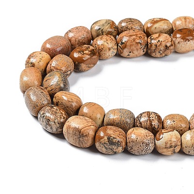 Natural Picture Jasper Beads Strands G-C038-02B-1