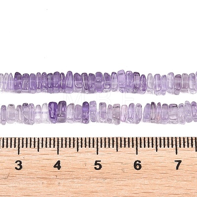 Natural Amethyst Beads Strands G-Z152-F05-03-1
