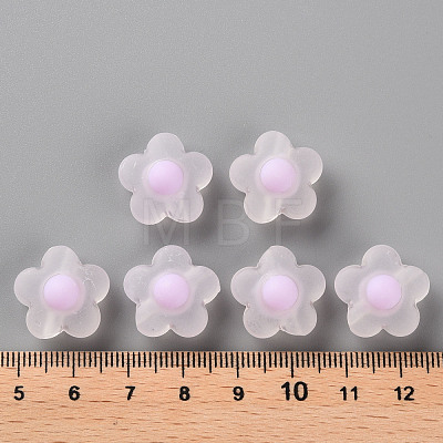 Transparent Acrylic Beads TACR-S152-09C-09-1