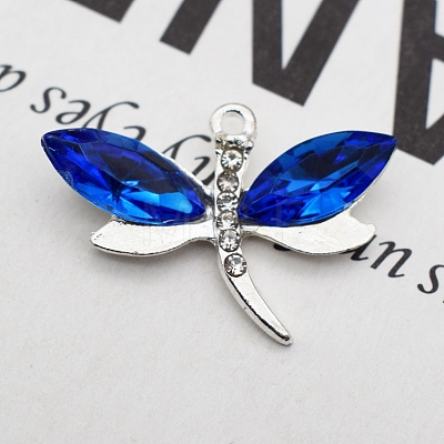 Alloy Rhinestones Charms FIND-SX0001-037-1