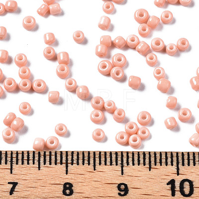 Glass Seed Beads SEED-S060-A-F414-1