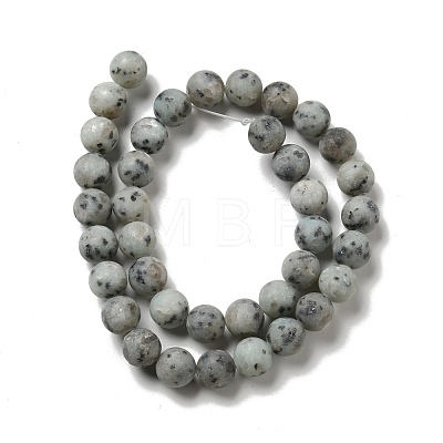 Natural Sesame Jasper/Kiwi Jasper Beads Strands G-I258-02-1