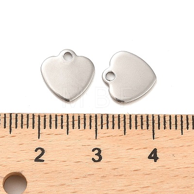 Non-Tarnish Stainless Steel Pendants STAS-L276-01P-04-1