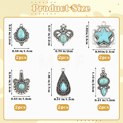 12Pcs 6 Styles Imitation Turquoise Resin Pendants FIND-SZ0019-78-1