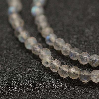 Natural Labradorite Beads Strands G-K182-2mm-25A-1