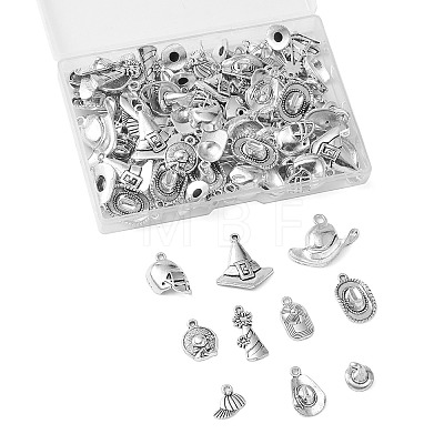 100Pcs 10 Styles Tibetan Style Alloy Pendants TIBEP-CJ0003-09-1