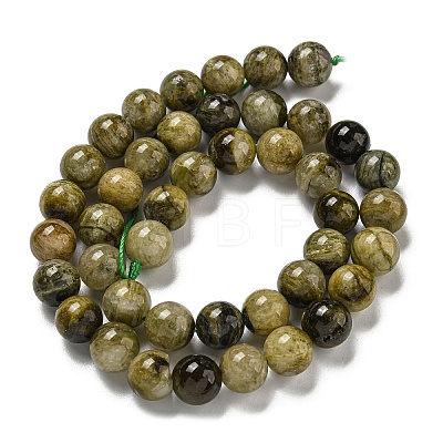 Natural Green Tourmaline Beads Strands G-B099-C05-05-1