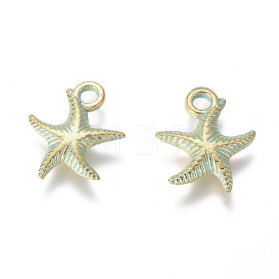 Alloy Charms PALLOY-L222-038GGP-1