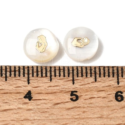 Natural Freshwater Shell Flat Round Beads SHEL-C009-01B-1
