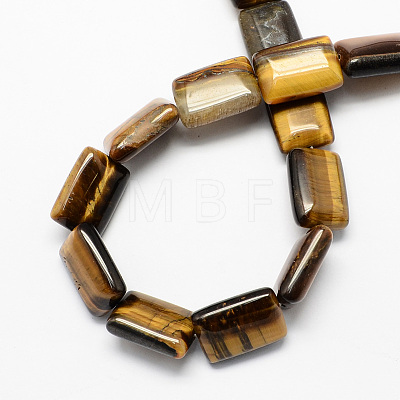 Rectangle Shaped Gemstone Natural Tiger Eye Beads Strands X-G-S112-16-1