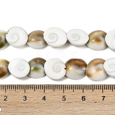 Natural Shiva Eye Shell Beads Strands SHEL-G021-01A-1