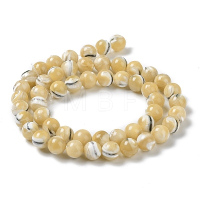 Natural Trochus Shell Beads Strands BSHE-P033-03B-1