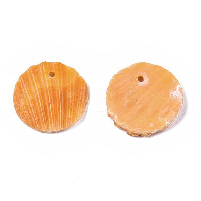 Natural Scallop Shell Beads BSHE-S122-1