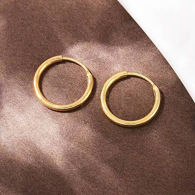 925 Sterling Silver Hoop Earrings STER-B008-01B-G-1