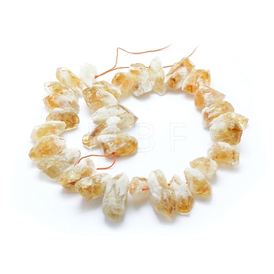 Natural Citrine Beads Strands G-L551C-01-1
