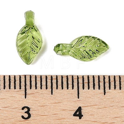 Transparent Acrylic Charms X-TACR-F009-11C-1