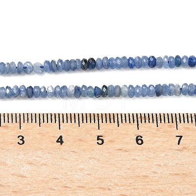 Natural Kyanite Beads Strands G-K376-E04-02-1