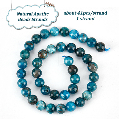 Olycraft 1 Strand Natural Apatite Beads Strands G-OC0004-68-1
