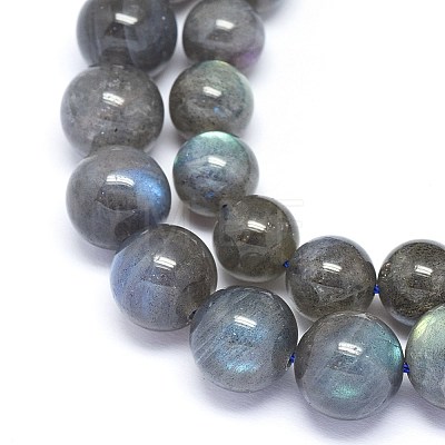 Natural Labradorite Beads Strands G-F602-04-10mm-1