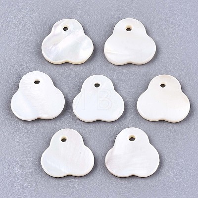 Natural Freshwater Shell Charms SHEL-S276-115-1