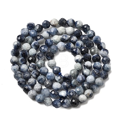 Natural Sapphire Beads Strands G-G343-B05-4mm-1