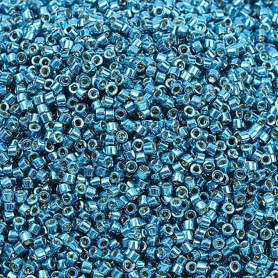 MIYUKI Delica Beads X-SEED-J020-DB2513-1