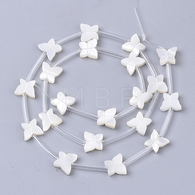 Natural White Shell Beads X-SSHEL-S264-070-1