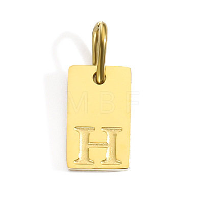 304 Stainless Steel Pendants STAS-Z143-01G-H-1
