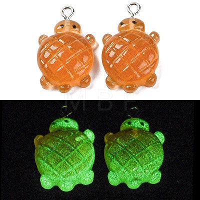 Gradient Color & Luminous Opaque Resin Pendants RESI-S011-01C-1