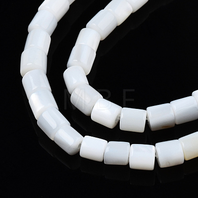 Natural Freshwater Shell Beads Strands SHEL-N034-29A-01-1