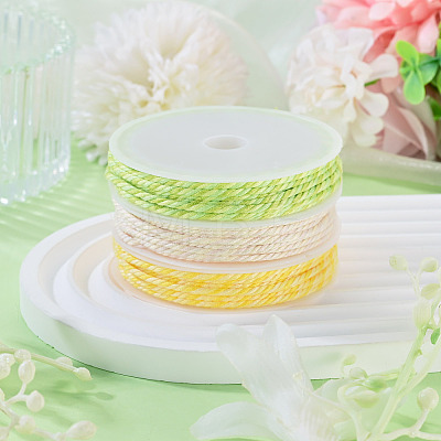 10.5M 3 Colors Braided Polyester Cord OCOR-TA0003-83B-1