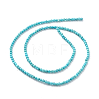 Natural Howlite Beads Strands X-TURQ-K005-01A-1