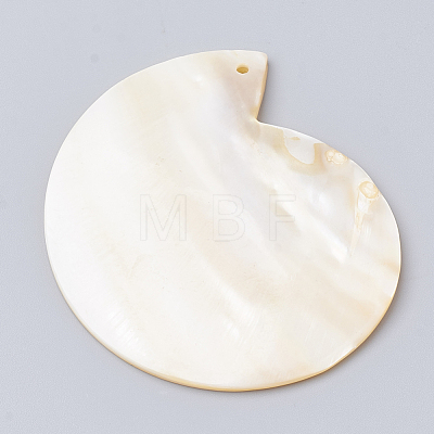 Freshwater Shell Pendants SHEL-Q020-13-1