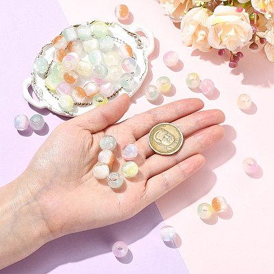 Pearlized Resin European Beads RESI-CJC0022-09-1