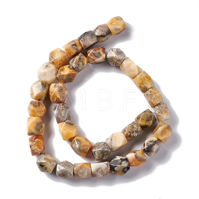Natural Crazy Lace Agate Beads Strands G-L235B-12-1