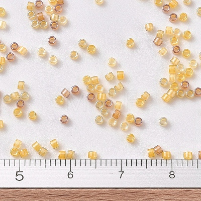 MIYUKI Delica Beads X-SEED-J020-DB2061-1