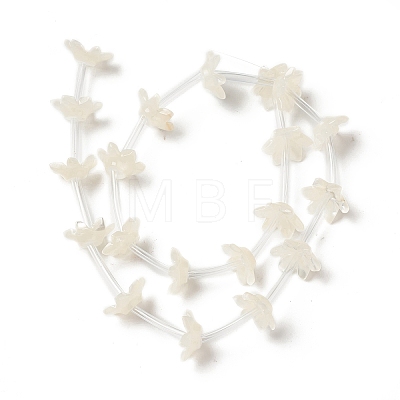 Natural White Shell Bead Caps BSHE-B005-02-1