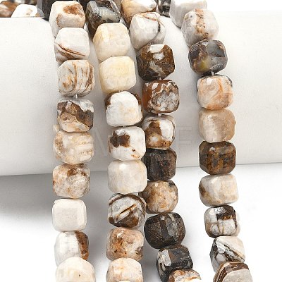 Natural Petrified Wood Beads Strands G-C267-A06-1