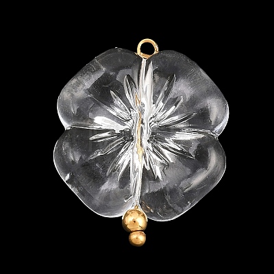 Transparent Acrylic & Stainless Steel Pendants TACR-G051-01G-02-1